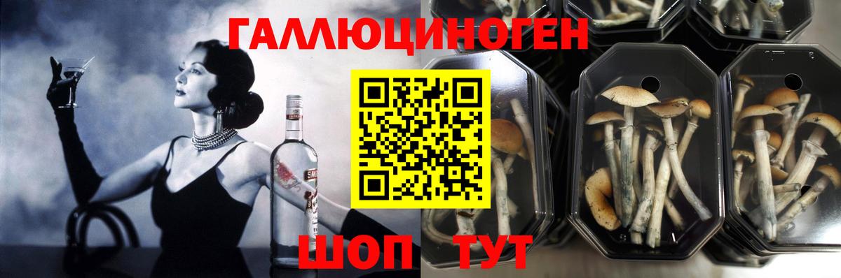 Галлюциногенные грибы прущие грибы Ивантеевка